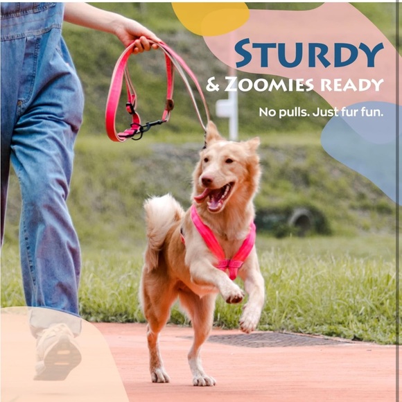 No Pull Dog Harness Adjustable Lightweight, No Choke, Leather, Heavy Duty - Picture 10 of 13